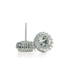 Halo Stud Earrings