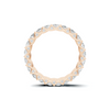 Eternal Brilliance Eternity Ring