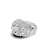 Cluster Statement Ring