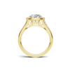 Exquisite Split Shank Ring