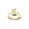 Hidden Halo Prong Ring