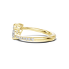 Dual Heart Bypass Ring