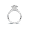 Paved Halo Ring