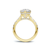 Paved Halo Ring