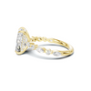 Exquisite Double Band Ring