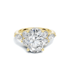 Exquisite Leaf Accent Ring