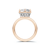 Elegant Crown Setting Ring