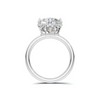 Elegant Crown Setting Ring