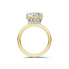 Elegant Crown Setting Ring
