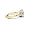 Elegant Crown Setting Ring