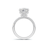 Pave Band Statement Ring