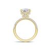 Pave Band Statement Ring