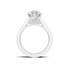 Luxe Marquise Pave Ring