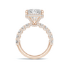 Luxe Halo Pavé Ring