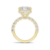 Luxe Halo Pavé Ring
