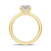 Hidden Halo Solitaire Ring