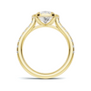 Grand Pavé Setting Ring