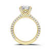 Pave Ring