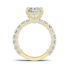 Dazzling Eternity Band Ring