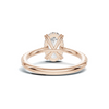 Luxe Elegant Pave Accented Ring