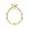 Luxe Elegant Pave Accented Ring