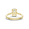 Luxe Elegant Pave Accented Ring