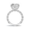 Exquisite Brilliance Statement Ring