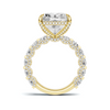 Exquisite Brilliance Statement Ring
