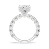 Elite Accented Band Ring