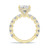 Elite Accented Band Ring