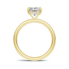 Sleek Hidden Halo Ring