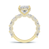 Luxe Pave Accented Gallery Ring