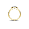 Luxe Halo Split Ring
