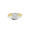 Elegant Six Prong Ring